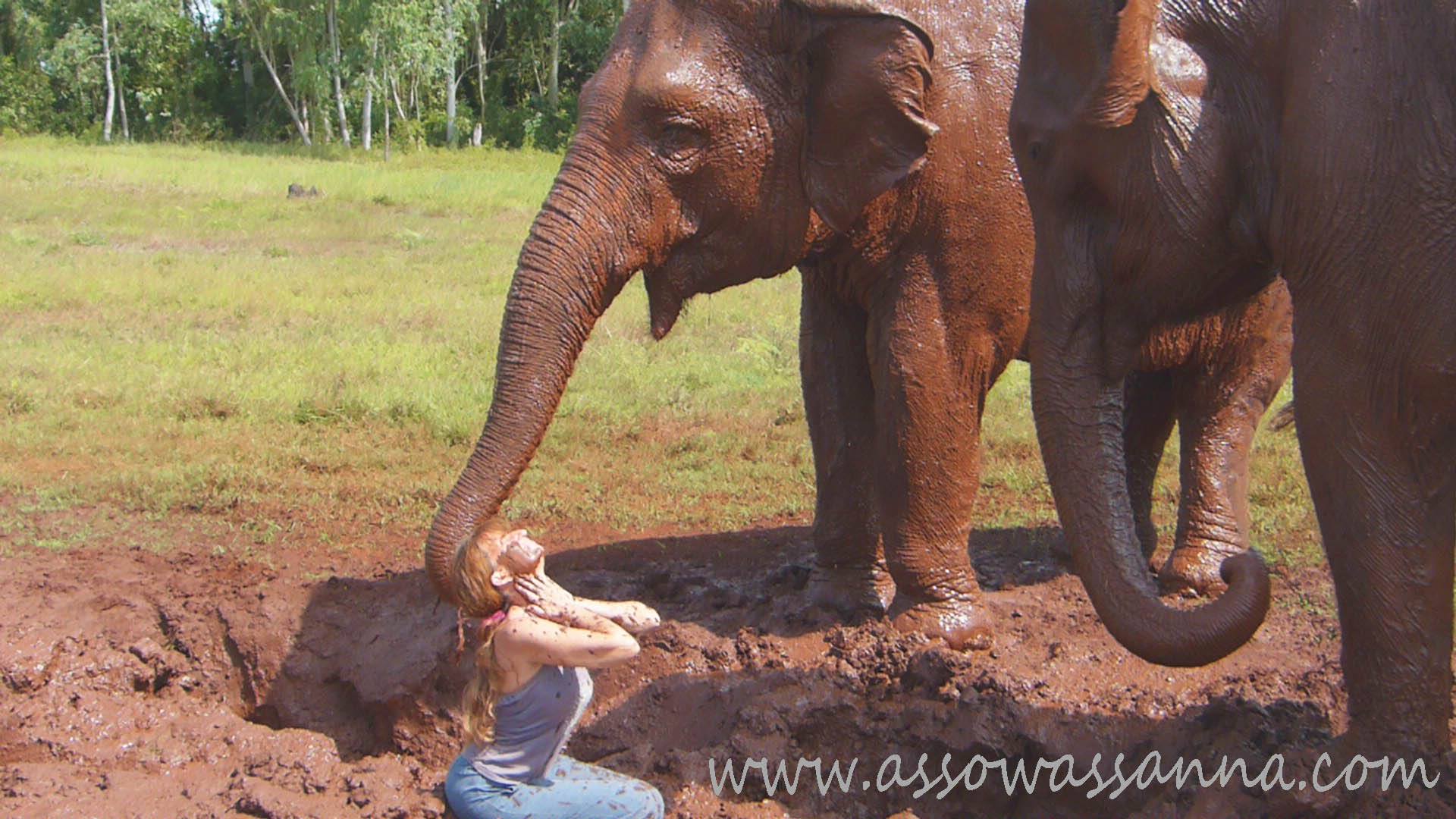 10548094_10152597767693865_2592278851539727313_o