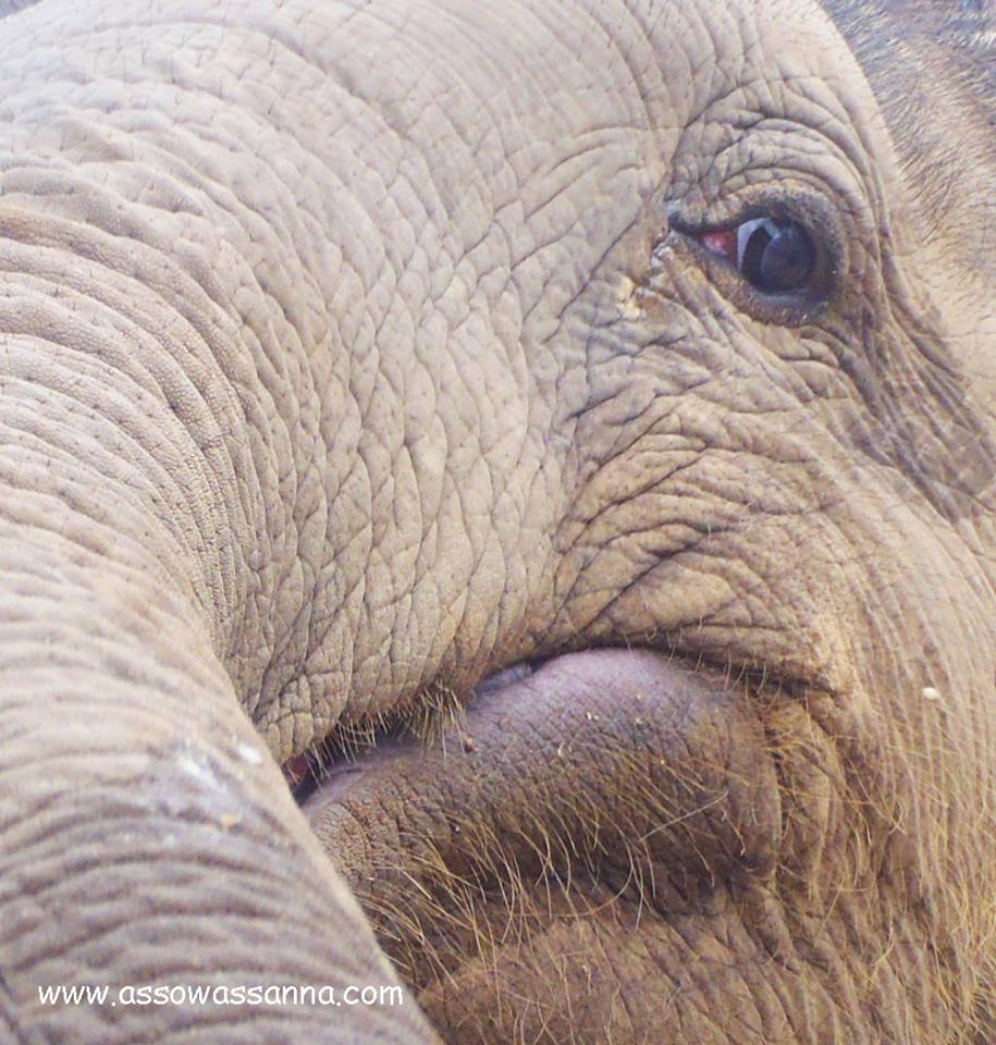 10653838_10152495356358865_5625334860455665865_n