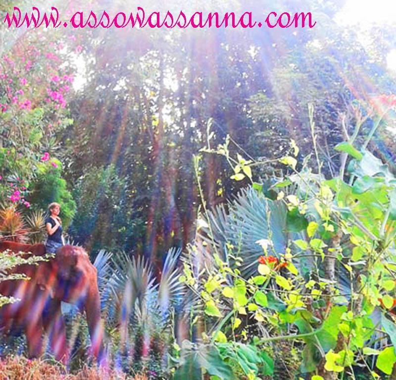 10845951_10153047341758865_3894353627660061133_n