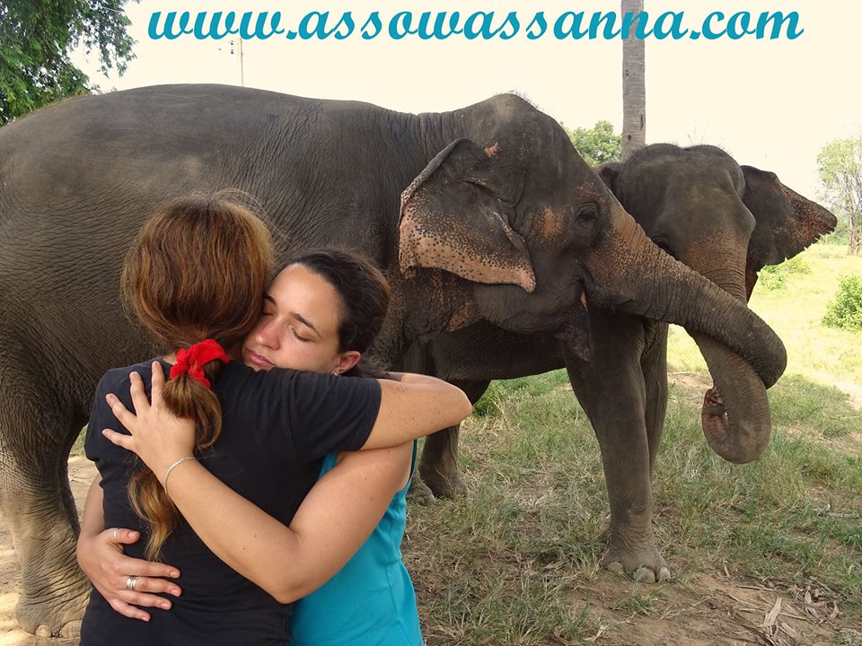 11214199_10153323439893865_3112637192250331573_n