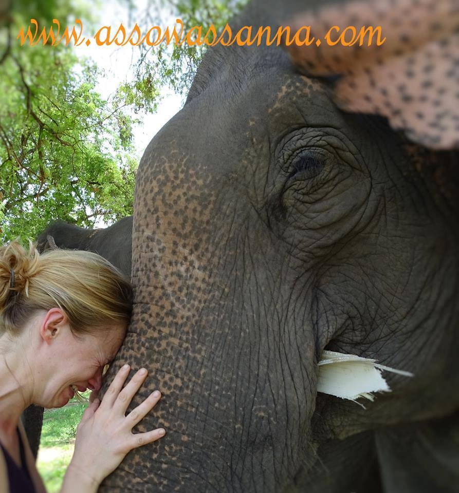 11265050_10152950284053865_5426720801810695331_n