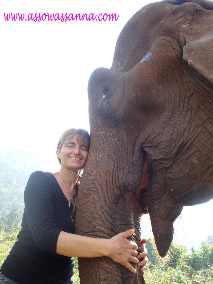 12006079_10153221291278865_8432713819443208232_n