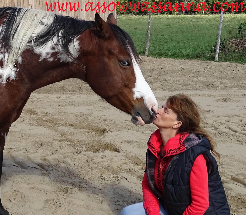 12115656_10153277527918865_8315408753981080068_n