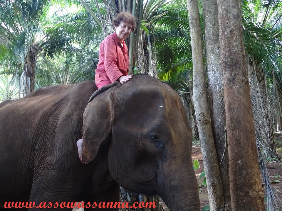 12246941_10153342555478865_2795026788248862585_n