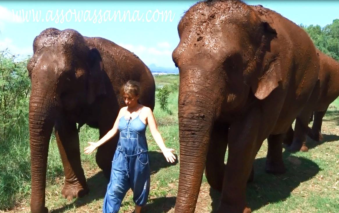 12308038_10153354771628865_8923666608346848819_o