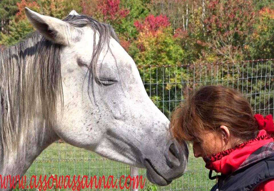 12342834_10153368554878865_383308050106924972_n