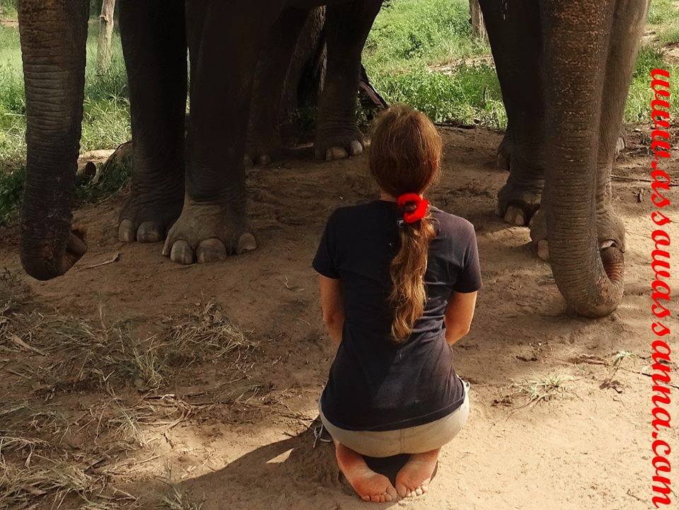 12376232_10153381359493865_5663723894880743542_n