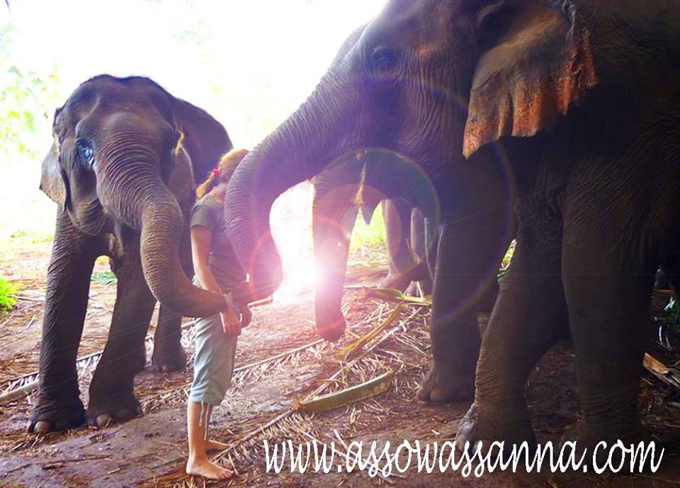 12512750_10153605949788865_3155229049530863802_n