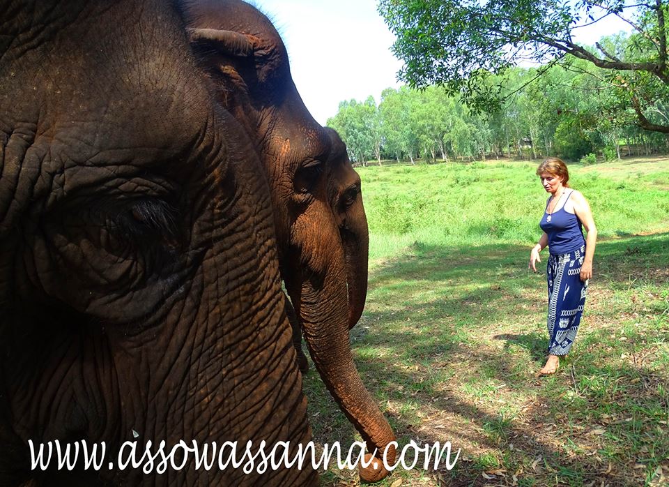 13092144_10153677834083865_761659378567800055_n