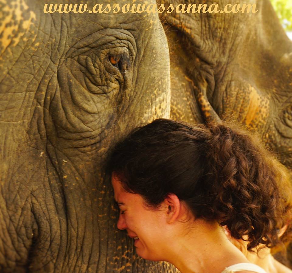 13096090_10153706234048865_6307946281479873015_n