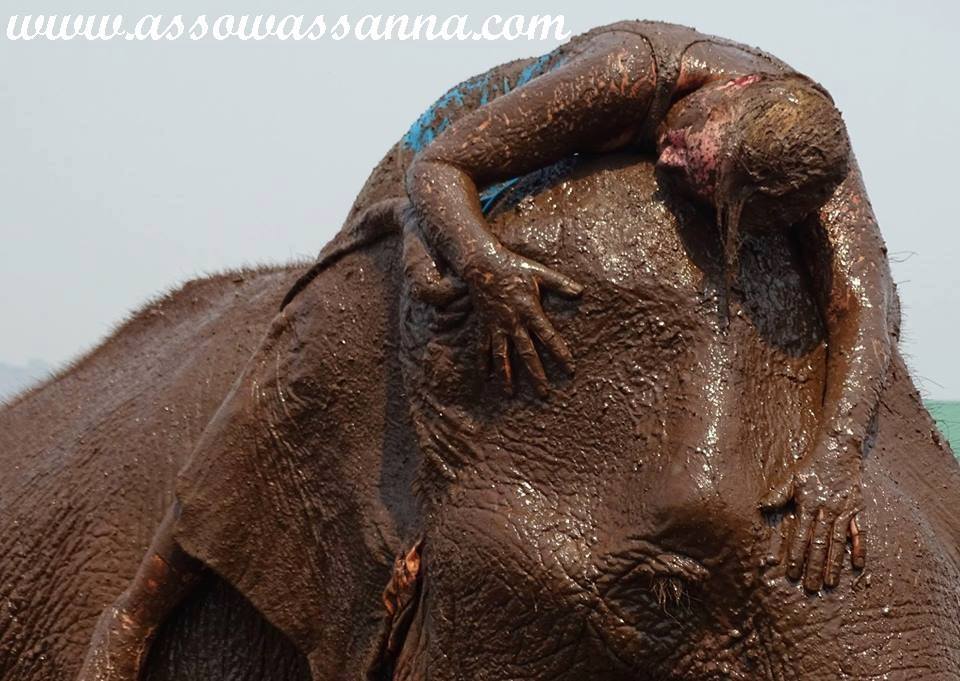 13221102_10153716240593865_4630322276549810229_n