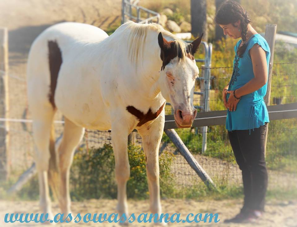 14212652_10153999796243865_1836609370880680098_n