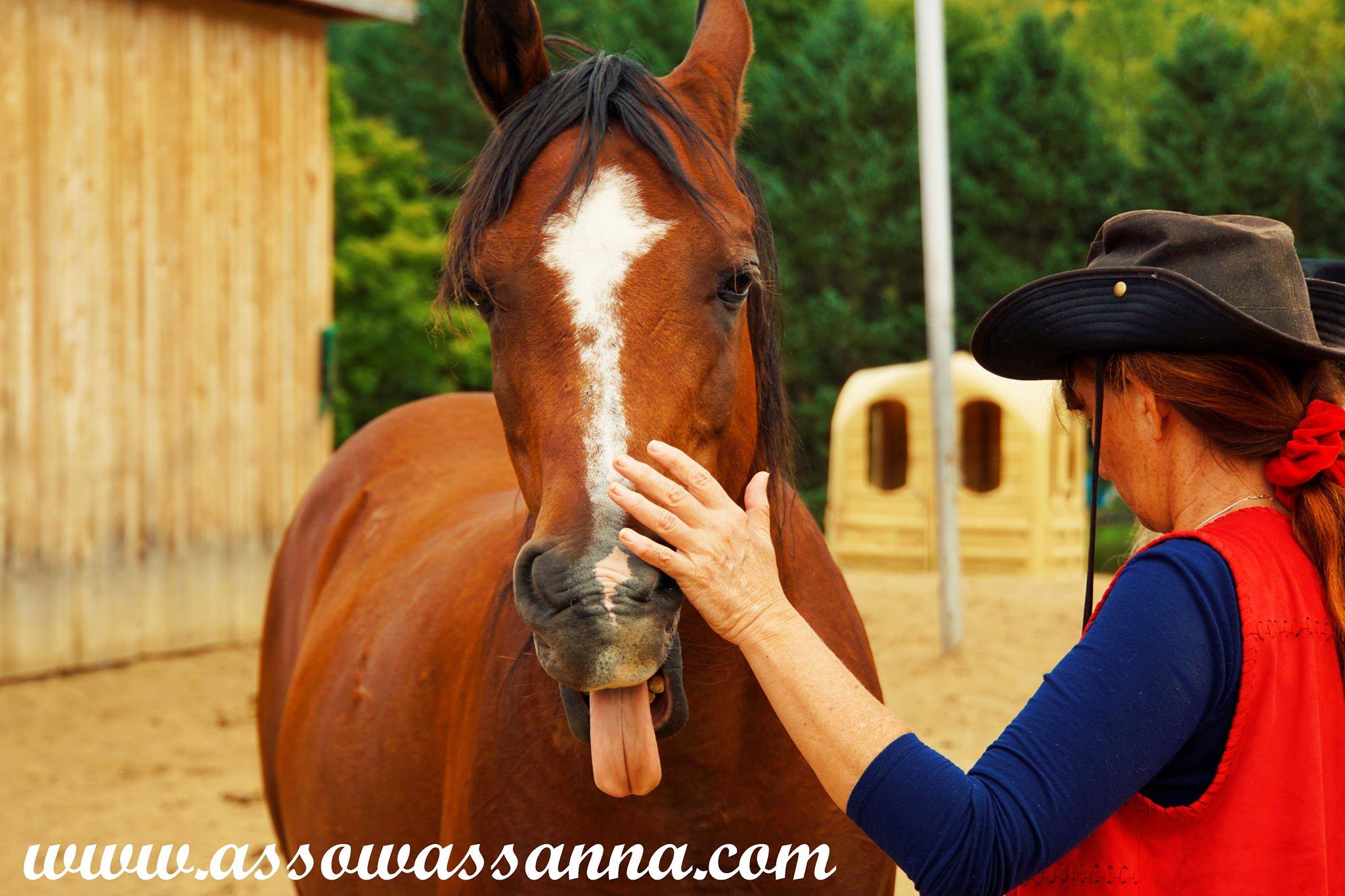 14249966_10153995335963865_5846098520966715203_o