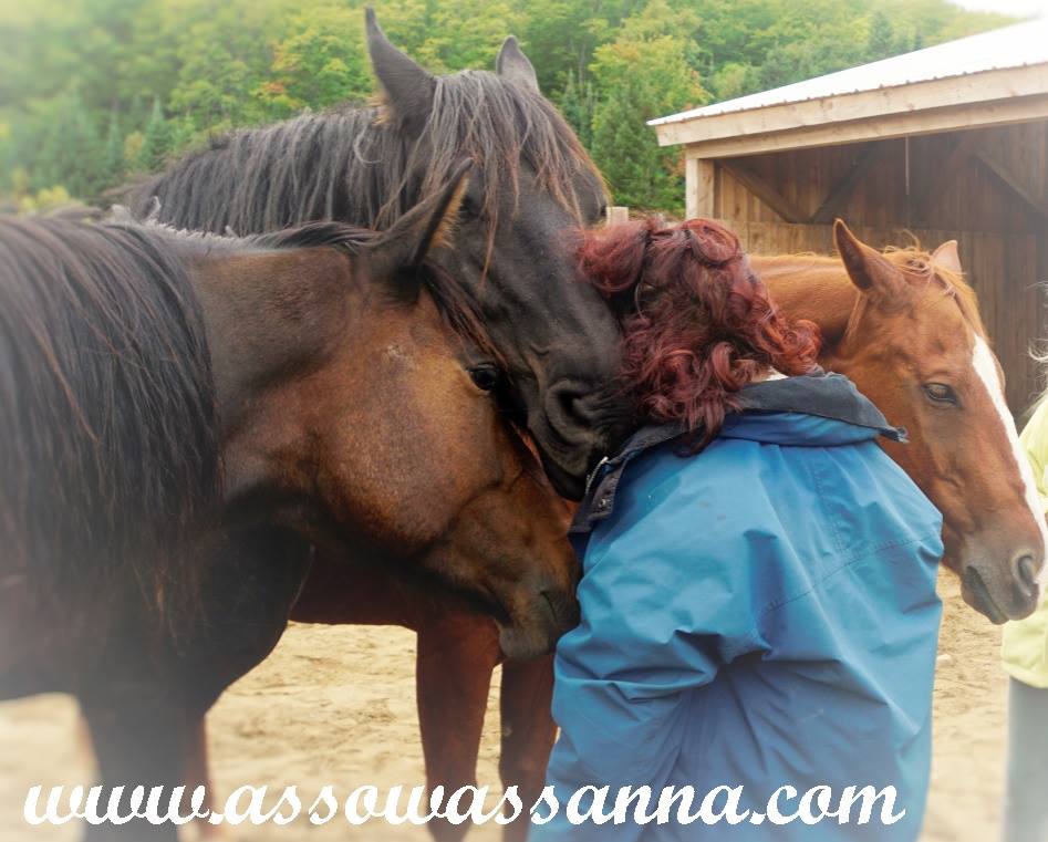 14264910_10154019797883865_3935416383844216546_n