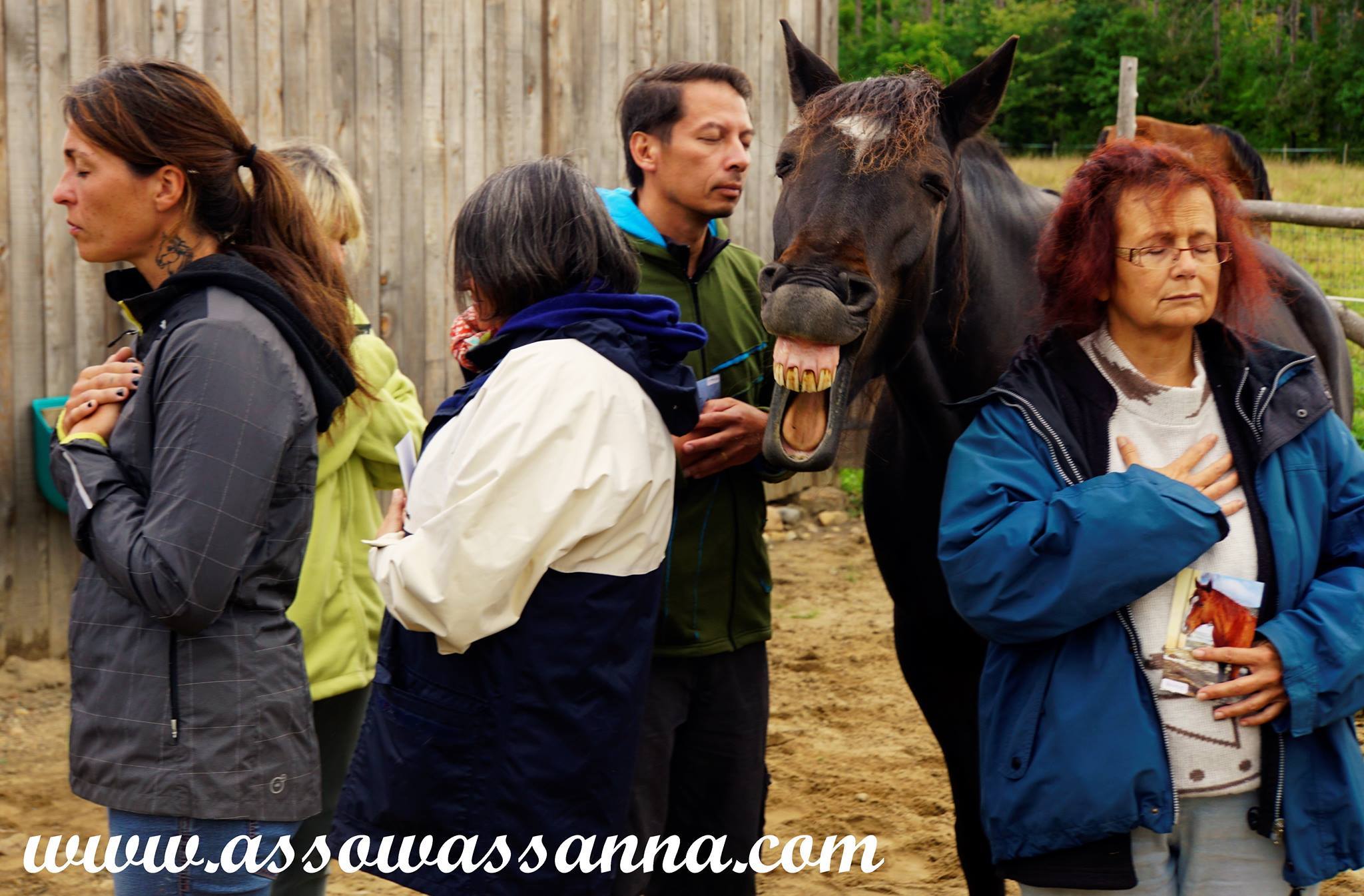 14289835_10154024446103865_3813266315496716160_o