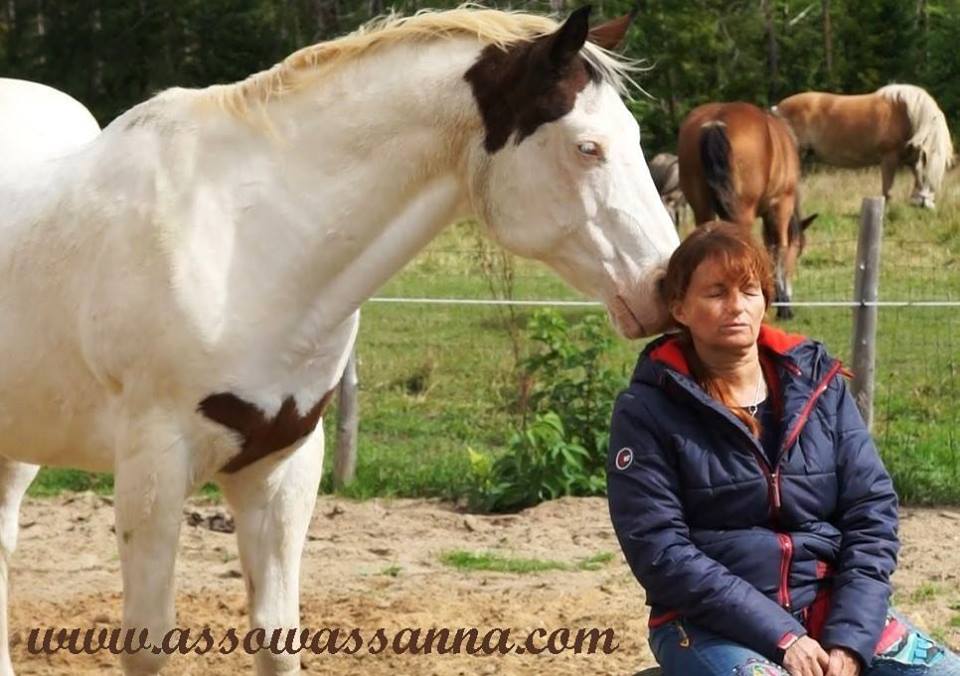 14329916_10154033205388865_7853559368816758013_n