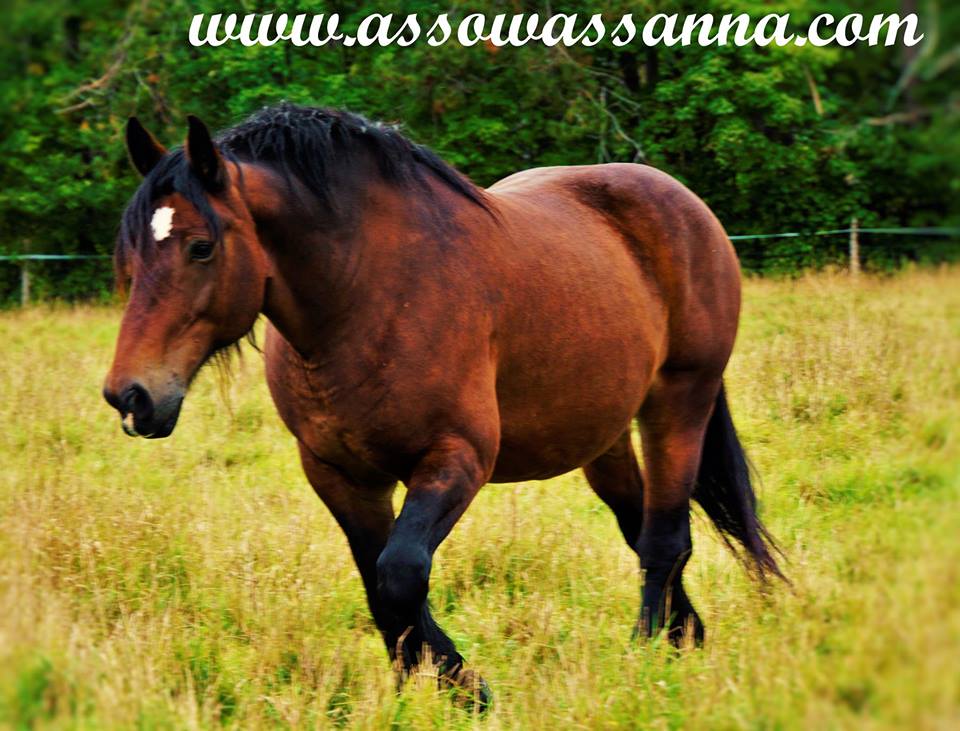 14329980_10154024318418865_2082474070222688367_n