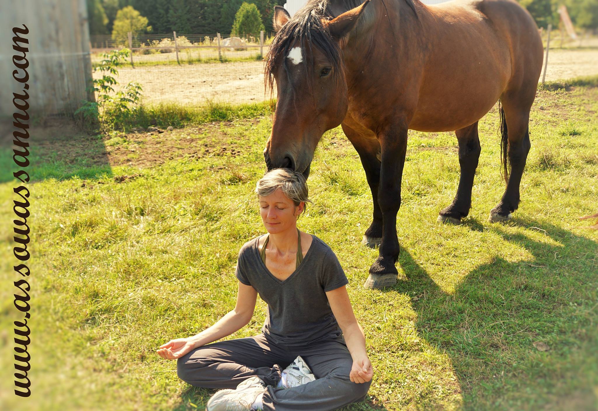 14352097_10154027138983865_3528288634492751704_o