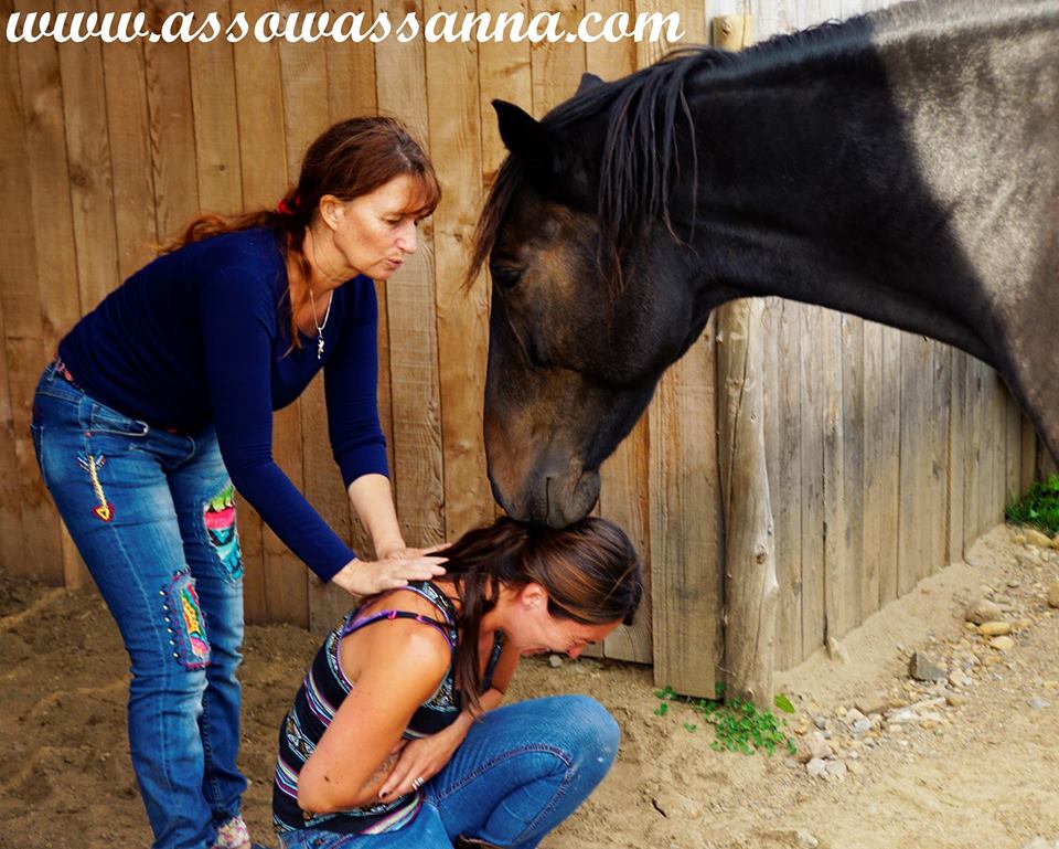 14355151_10154028550928865_5288347481847234087_n