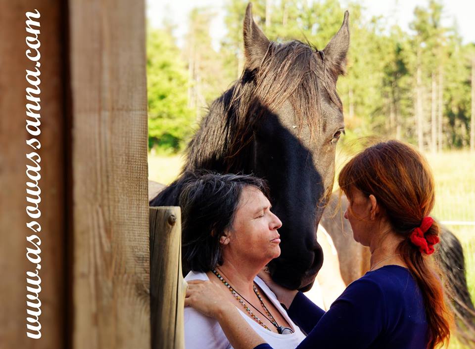 14446220_10154038394833865_2087842653142238439_n