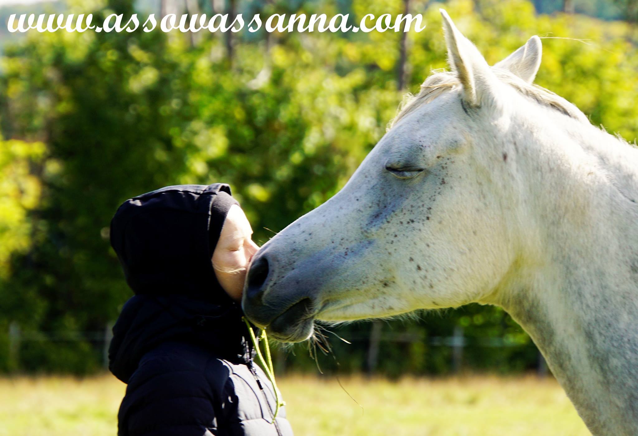 14468689_10154056075123865_6331629375689845130_o