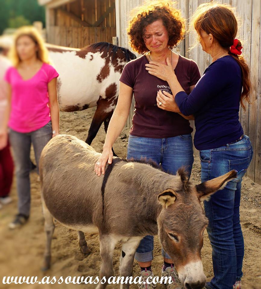 14516497_10154052085508865_9029893920420669625_n