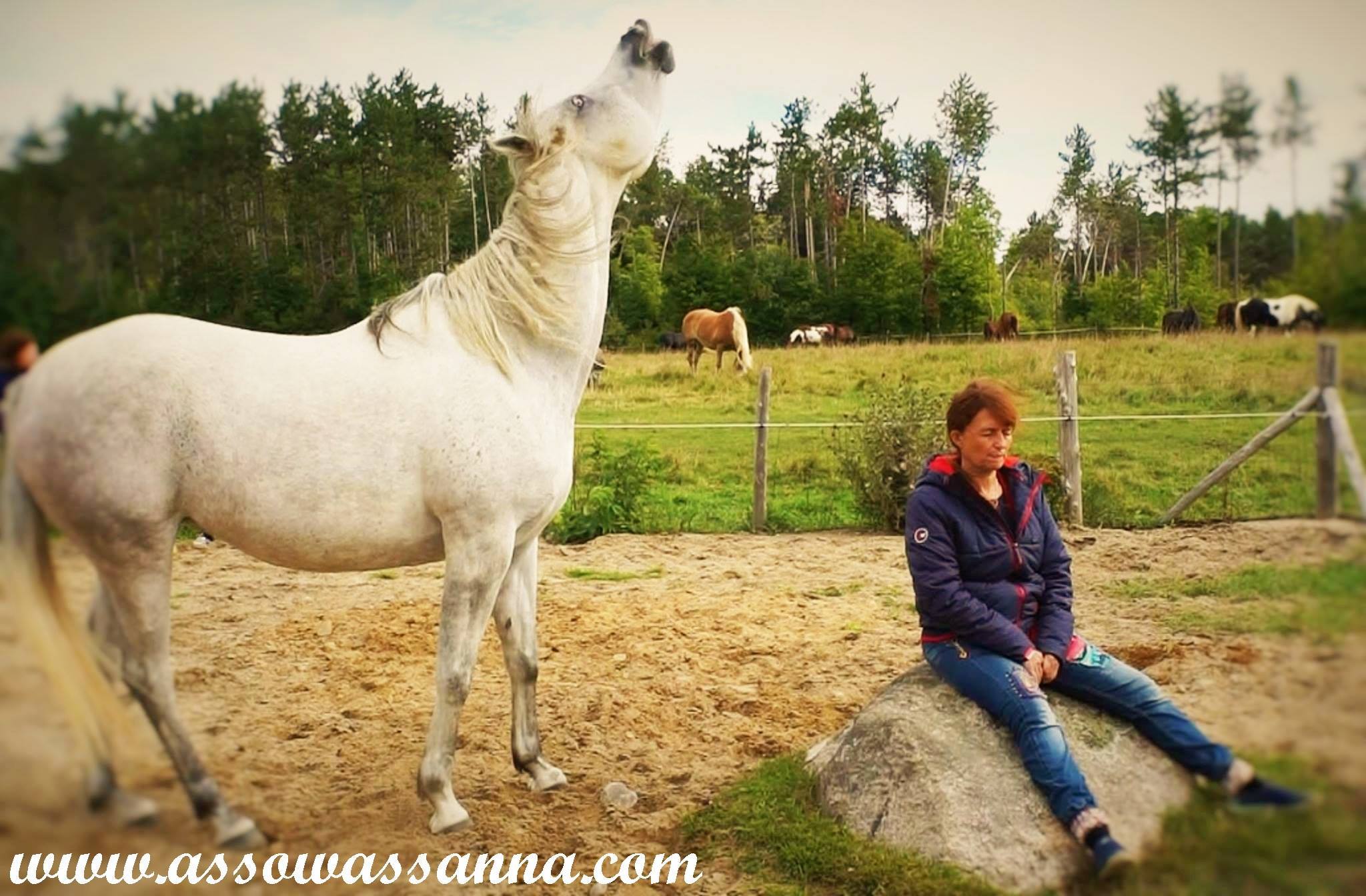 14566332_10154063653423865_5855977520968530205_o