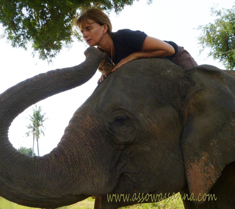 1979518_10152681196973865_4899280654680765931_n