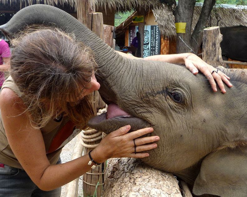 282887_10151222665448865_1001008006_n