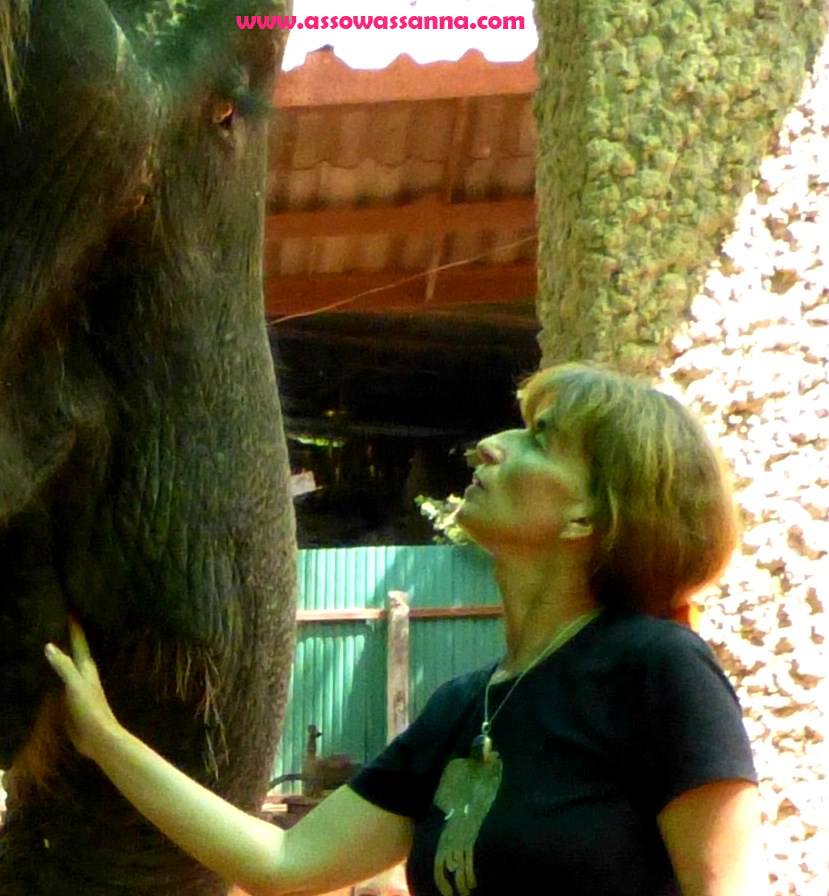 935922_10151523000253865_836899798_n