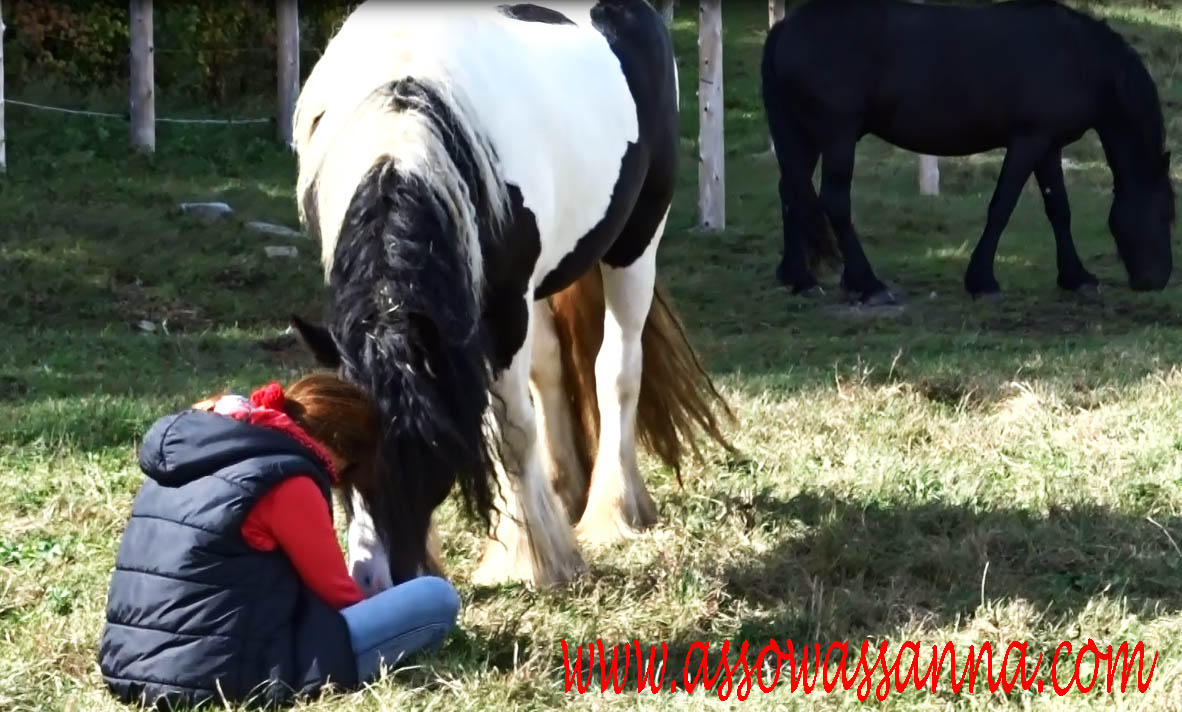 cybelle-communication