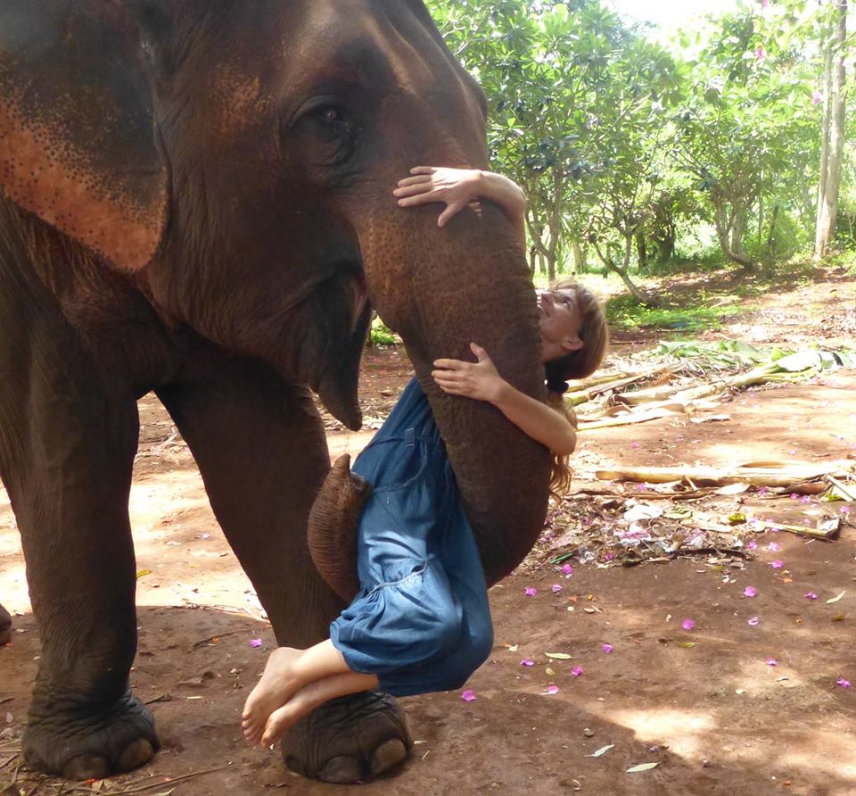 Se laisser porter par leur force tranquille