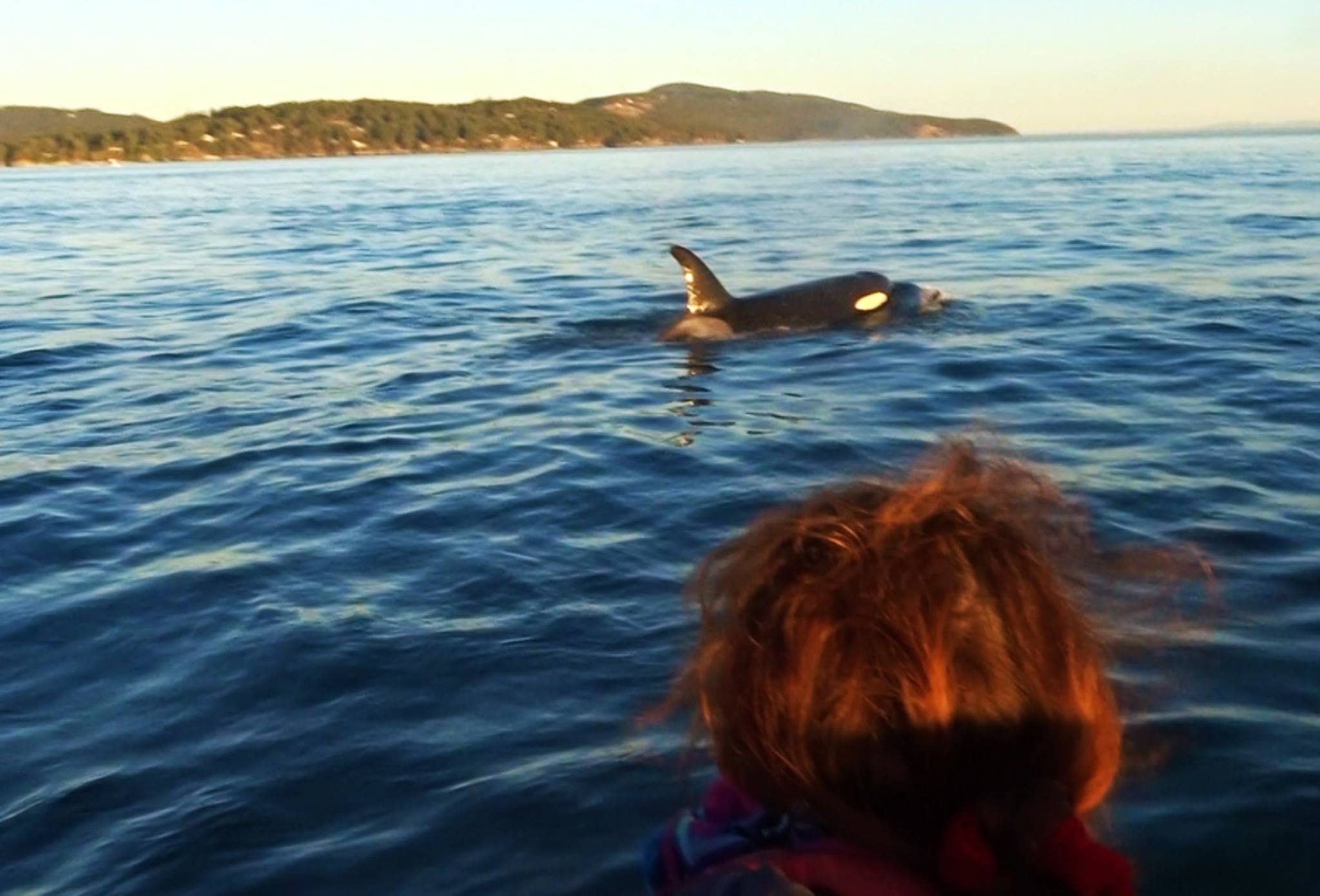 14054343_10153958152563865_4555553804836549814_o