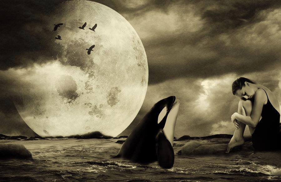 997083_10152467491323865_1992686743467931310_n