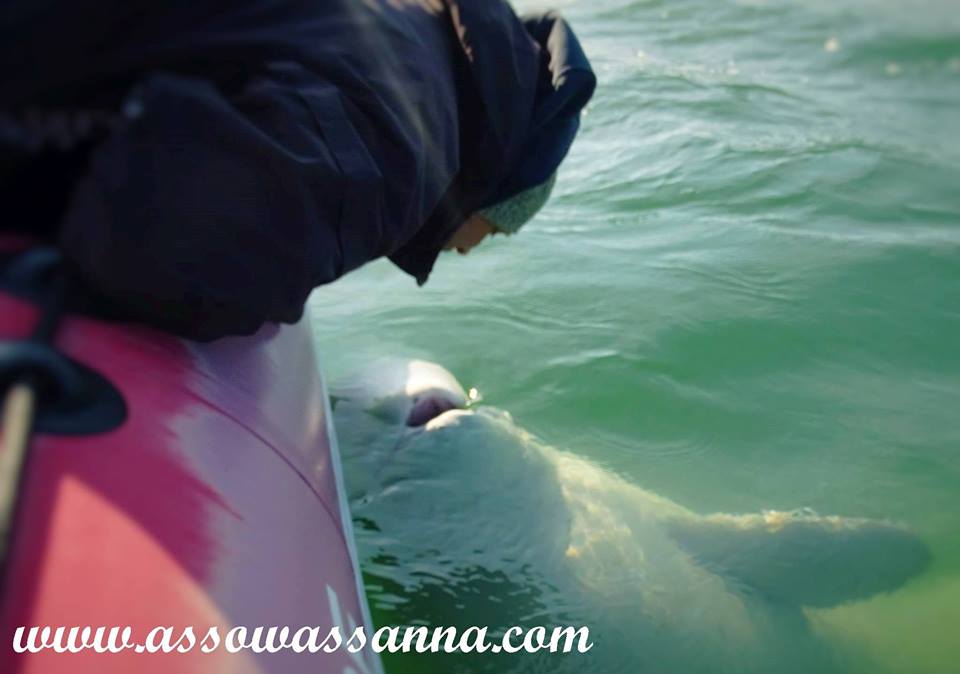 14264210_10154002647458865_6897008956033296090_n