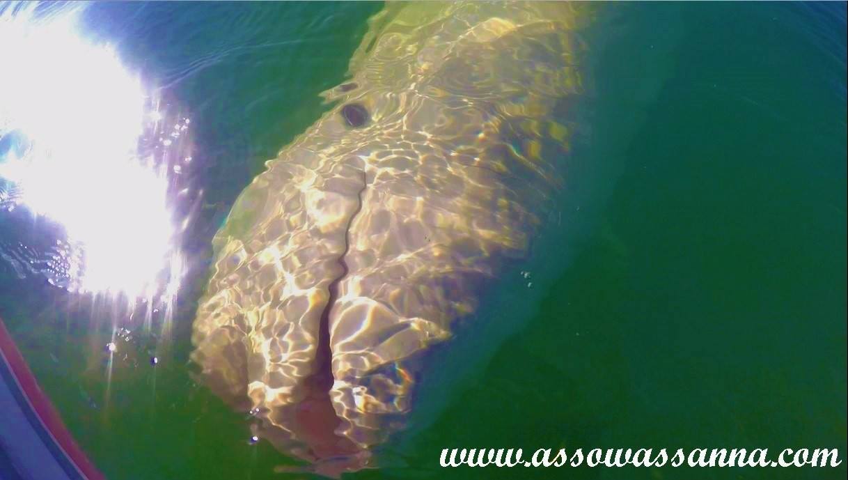 14310421_10154022215643865_5361471582074053280_o