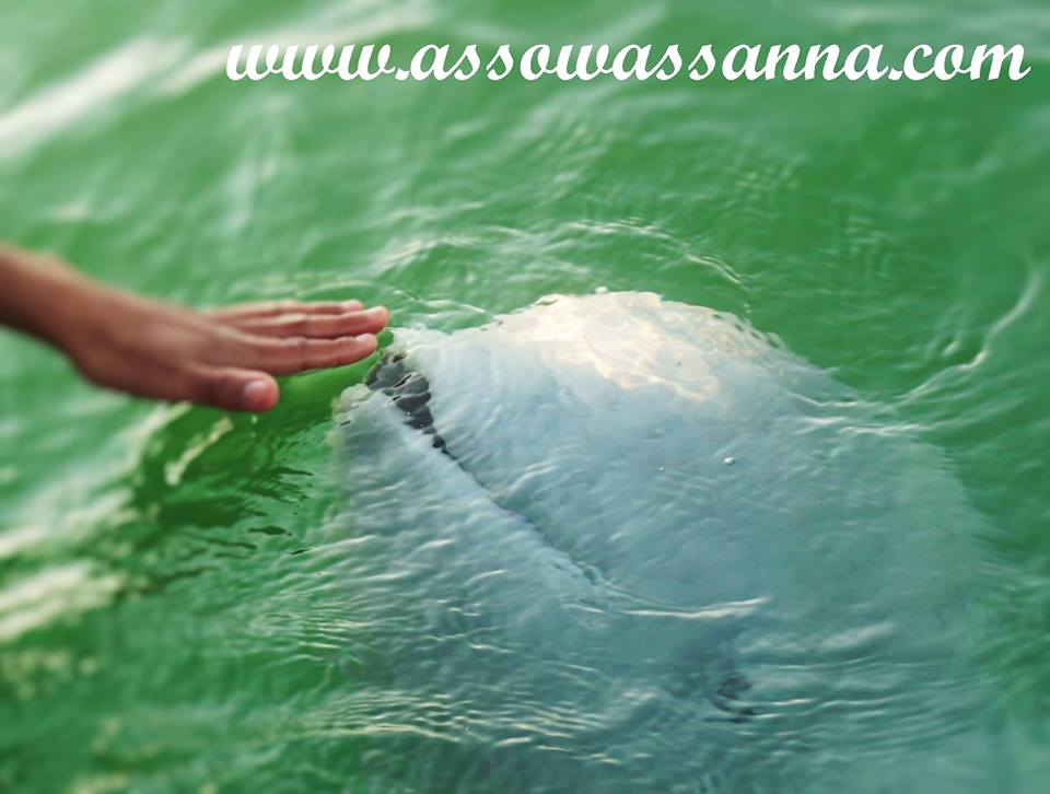 14369984_10154028290098865_2406225424103466708_n