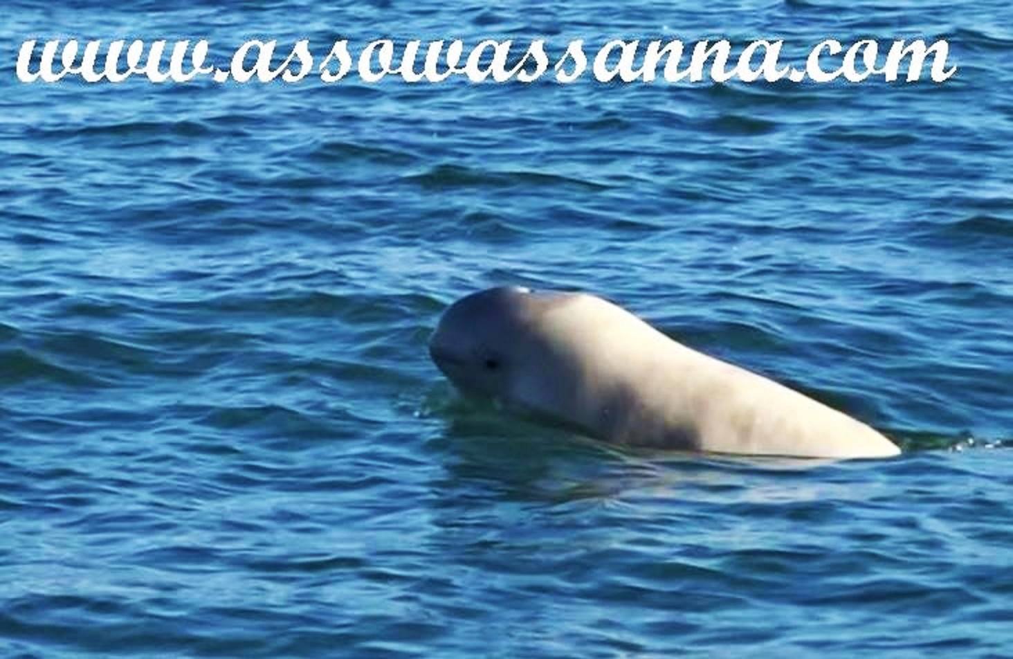 14409377_10154031270128865_472702365360123131_o