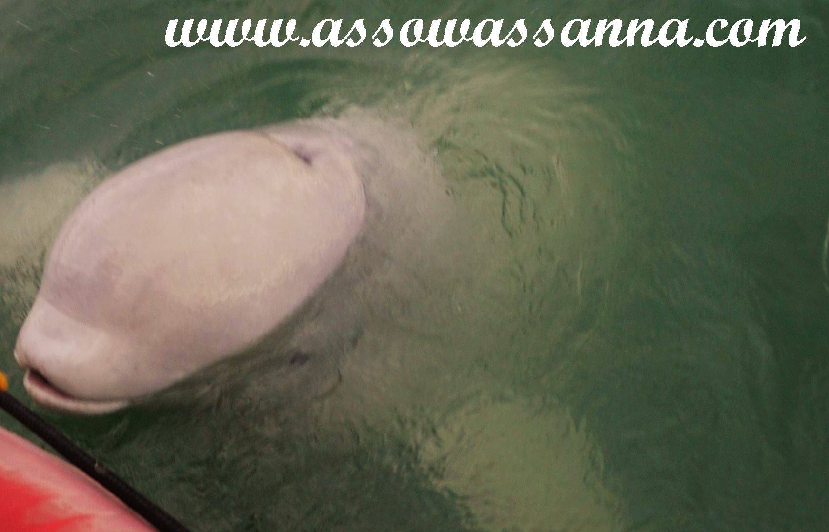 14500178_10154054317968865_7417300256567191204_o