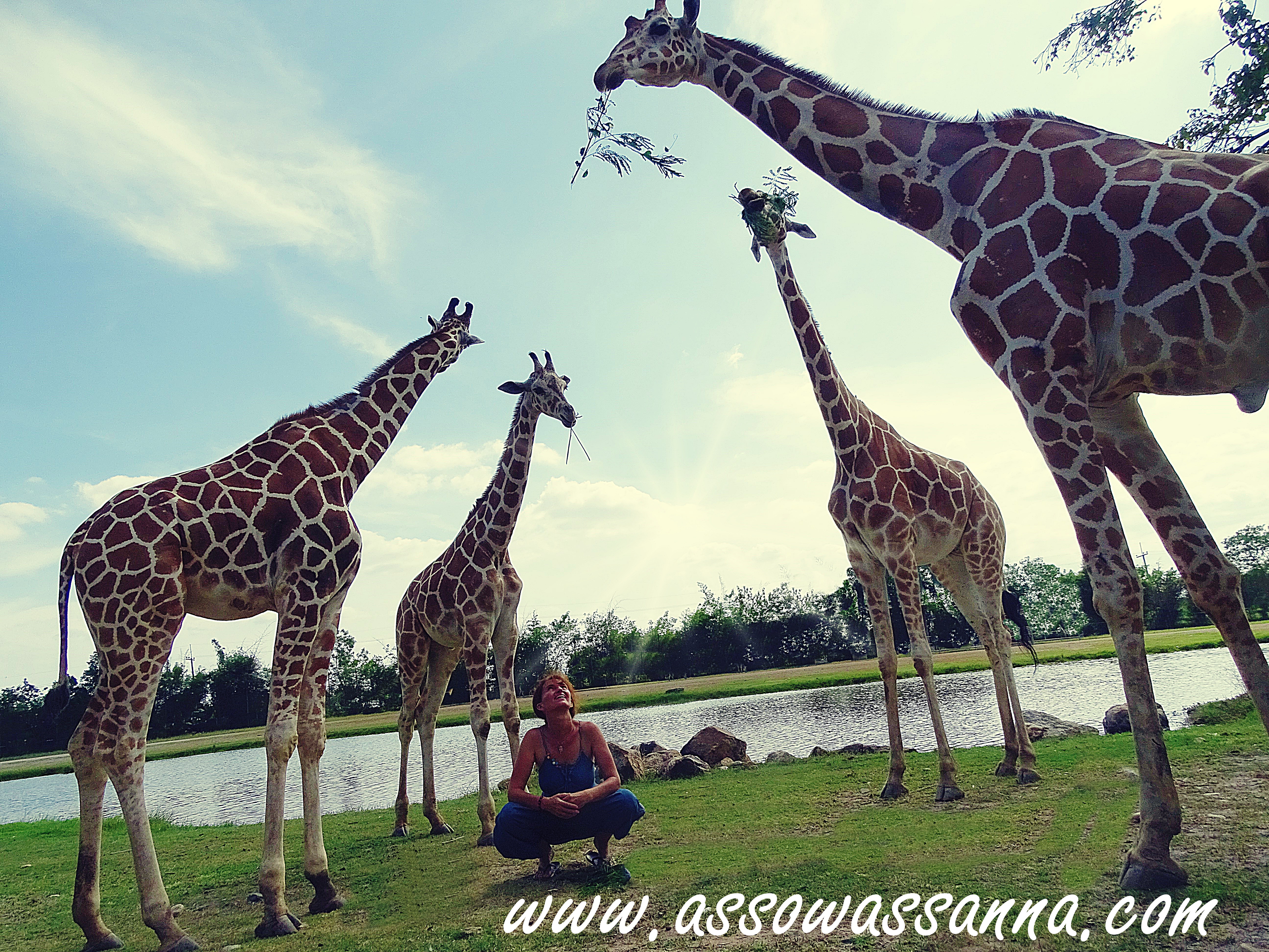4 séances pour prendre de la hauteur