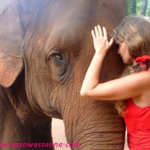 Accompagnement individuel en ligne avec le soutien du peuple des animaux